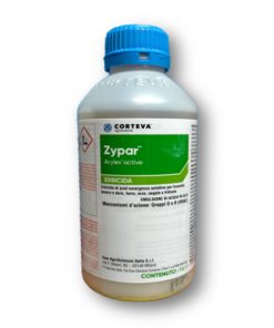 Zypar